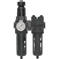 Filtre/d&eacute;tendeur & filtre coalescent Modulair 400 avec bol standard & drain manuel, 3/4" NPTF, 150 psi, Capacit&eacute; de 9,13 oz liq. Par Equipment