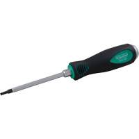 Tournevis Torx Par Equipment