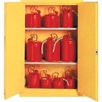 Insulated Flammable Liquid Safety Cabinets, 30 gal., 2 Door, 44" W x 45" H x 19" D SA087 | Par Equipment