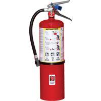 Fire Extinguisher, ABC, 10 lbs. Capacity Par Equipment