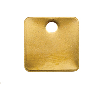 Blank Tags, Brass, 1.25" dia Par Equipment