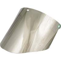 &eacute;cran facial moul&eacute;, Polycarbonate, Teinte Vert Par Equipment