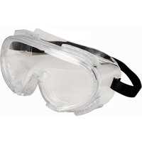 Safety Goggles