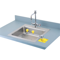 Poste de douche oculaire Swing-Away, Installation Montage sur comptoir Par Equipment