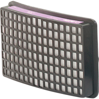 Speedglas Respiratory Protection-replacement Filters & Cartridges, P100 Filter, Pack of 2 Par Equipment