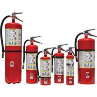 Extincteur d'incendie, ABC, Capacité 30 lb SED110 | Par Equipment