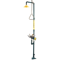 Safe-T-Zone&reg; Combination Shower & Eye/Face Wash Par Equipment