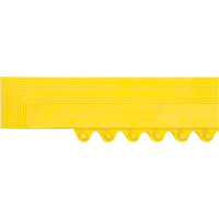 Rampe de bordure pour tapis Par Equipment