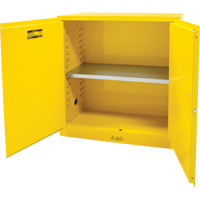 Flammable Storage Cabinet, 30 gal., 2 Door, 43" W x 44" H x 18" D Par Equipment