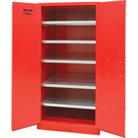 Paint/Ink Cabinet, 96 gal., 5 Shelves Par Equipment