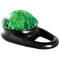 TAG-IT Guardian Warning Light, Continuous/Flashing, Green SDS909 | Par Equipment