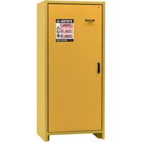 30-Minute EN Safety Storage Cabinet, 30 gal., 1 Door, 34.02" W x 76.65" H x 24.21" D Par Equipment