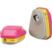6000 Series Respirator Cartridges, Gas/Vapour Cartridge, Organic Vapour/Acid Gas/P100 Par Equipment