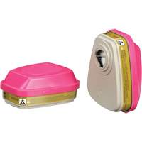 Cartouches pour respirateur s&eacute;rie 6000, Cartouche gaz/vapeur, Gaz multiples/Vapeurs/P100 Par Equipment