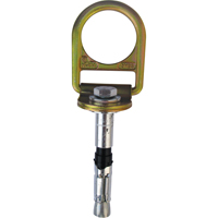 Ancrages pour béton à anneau en D, Béton/Anneau en D, Usage Permanent/Temporaire SEB438 | Par Equipment