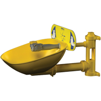 Poste de douche oculaire Halo, Installation Montage mural, Bol Plastique Par Equipment