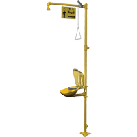 Combinaison de douche d'urgence & douche oculaire Halo Par Equipment