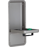 Eye/Face Wash Station, Wall-Mount Installation, Stainless Steel Bowl Par Equipment