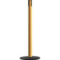Advance TensaBarrier&reg; - Receiver Post, 36" High, Yellow Par Equipment