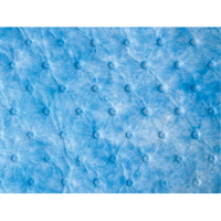 Oil Only Sorbent Sweep Par Equipment