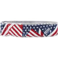 Chill-Its 6605 Cooling Headbands, Multi-Colour Par Equipment