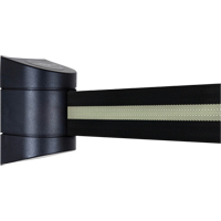 TensaBarrier&reg; Wall Mounted Units, Plastic, Screw Mount, 15', Black Tape Par Equipment