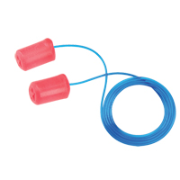 Earplugs