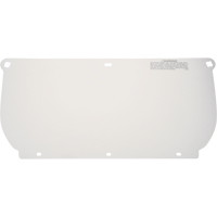 Faceshield, Polycarbonate, Clear Tint Par Equipment