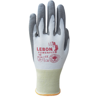 Gants r&eacute;sistants &agrave; la coupe PowerFit Lebon, Taille T-petit/6, Calibre 13, Rev&ecirc;tement Polyur&eacute;thane, Enveloppe en Poly&eacute;thyl&egrave;ne, ASTM ANSI niveau A2/EN 388 niveau B Par Equipment