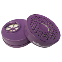 Respirator Cartridge, Particulate Filter, P100 Filter Par Equipment