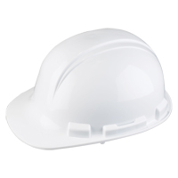 Dynamic Whistler Hardhat, CSA Type 1, Ratchet Suspension, Non-Vented Par Equipment