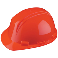 Dynamic Mont-Blanc Hardhat, ANSI Type II/CSA Type 2, Ratchet Suspension Par Equipment