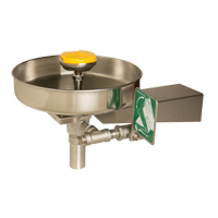 Eye/Face Wash Station, Wall-Mount Installation, Stainless Steel Bowl Par Equipment