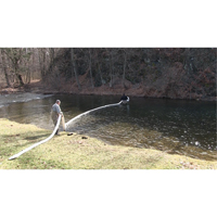 SpillBoa Bale, Oil Only, 25' L x 5" W, 28 gal. Absorbancy, 4 /Pack Par Equipment