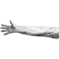 Gants jetables, Grand, Poly&eacute;thyl&egrave;ne, 9 mils, Poudr&eacute;s, Transparent Par Equipment