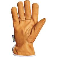 Endura&reg; Driver's Glove, Small, Grain Goatskin Palm, Thinsulate Inner Lining Par Equipment