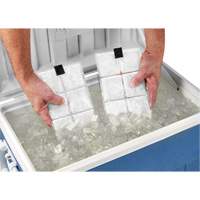 Chill-Its&reg; 6250 Phase Change Cooling Vest Packs Par Equipment