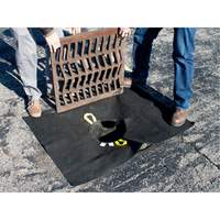 Storm Sentinel&reg; Catch Basin Insert, Sediment, 48" L x 36" W Par Equipment