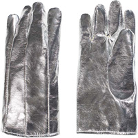 Heat Resistant Gloves, Aluminized/Kevlar<sup>®</sup>, One Size SGR800 | Par Equipment