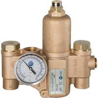Navigator EFX20 Emergency Fixture Thermostatic Mixing Valve, 30 GPM Par Equipment