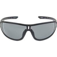 Z3000 Series Safety Glasses, Grey/Smoke Lens, Anti-Fog/Anti-Scratch, ANSI Z87+/Meets/Exceeds CSA Z94.3 Par Equipment