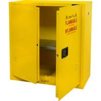 Flammable Storage Cabinet, 30 gal., 2 Door, 43" W x 44" H x 18" D Par Equipment