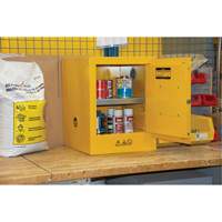 Flammable Storage Cabinet, 4 gal., 1 Door, 17" W x 22" H x 18" D Par Equipment