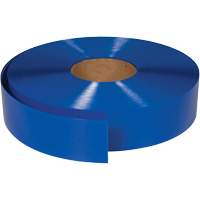 ArmorStripe&reg; Ultra Durable Floor Tape, 2" x 100', PVC, Blue Par Equipment