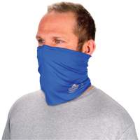 Chill-Its&reg; 6489 2-Layer Cooling Multi-Band, Blue Par Equipment