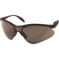 Miranda Safety Glasses, Grey Lens, Anti-Scratch, Meets/Exceeds CSA Z94.3 Par Equipment