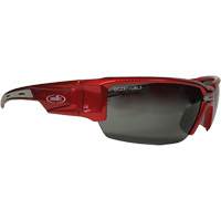 Hartley Safety Glasses, Grey Lens, Polarized, Meets/Exceeds CSA Z94.3 Par Equipment