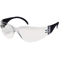 CeeTec Safety Glasses, Clear Lens, Anti-Fog/Anti-Scratch, Meets/Exceeds CSA Z94.3 Par Equipment