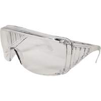 Eccospec Safety Glasses, Clear Lens, Meets/Exceeds CSA Z94.3 Par Equipment