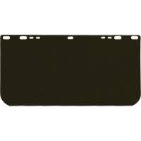 Visi&egrave;re Valuguard, Polycarbonate, Teinte Vert Par Equipment